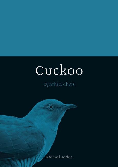 Książka Cuckoo 