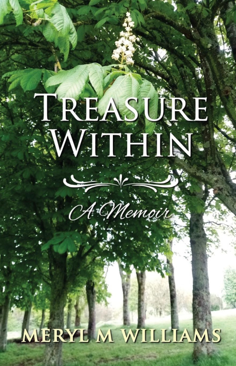 Book Treasure Within - A Memoir Meryl M Williams