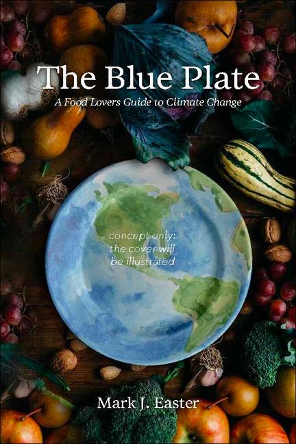 Kniha The Blue Plate 