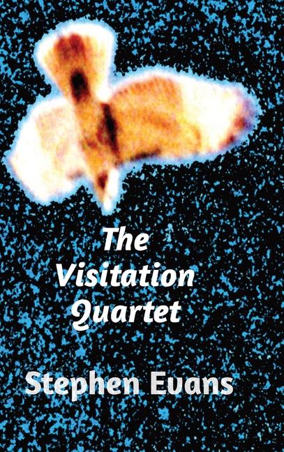 Buch The Visitation Quartet Stephen Evans