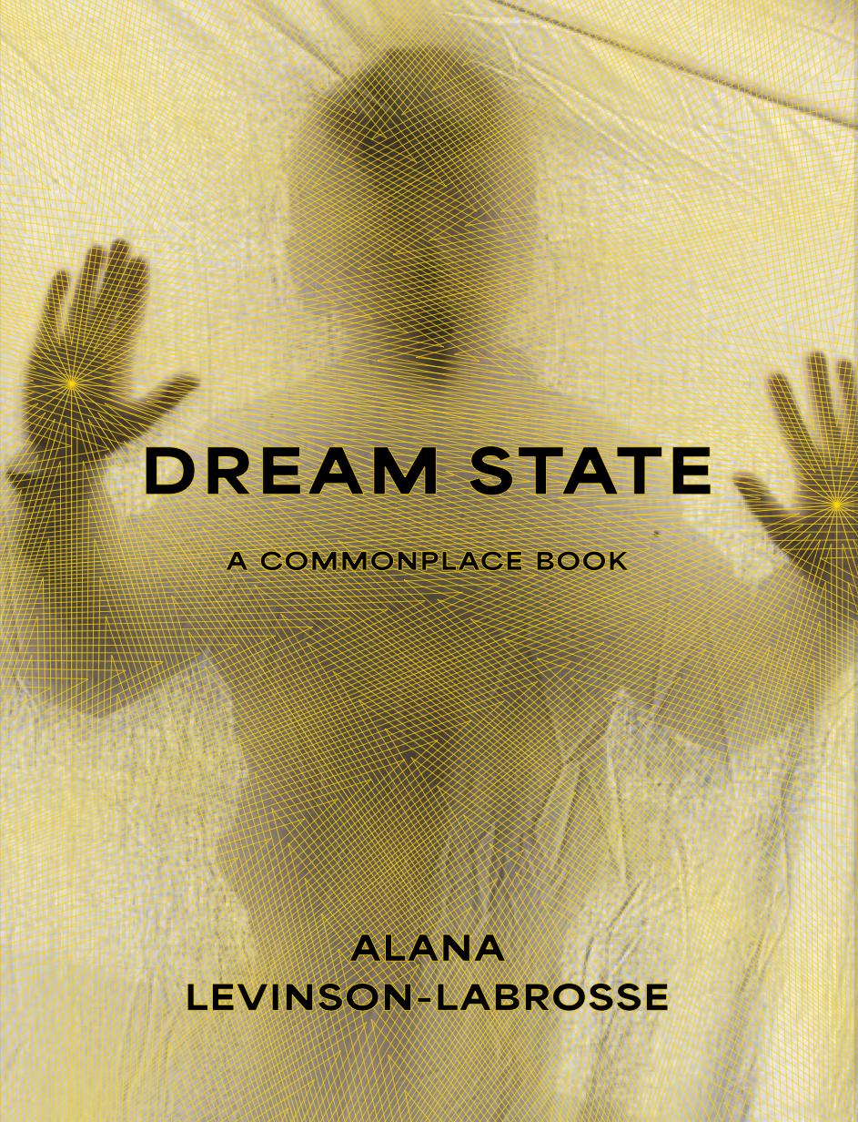 Livro Dream State Alana Marie Levinson-LaBrosse