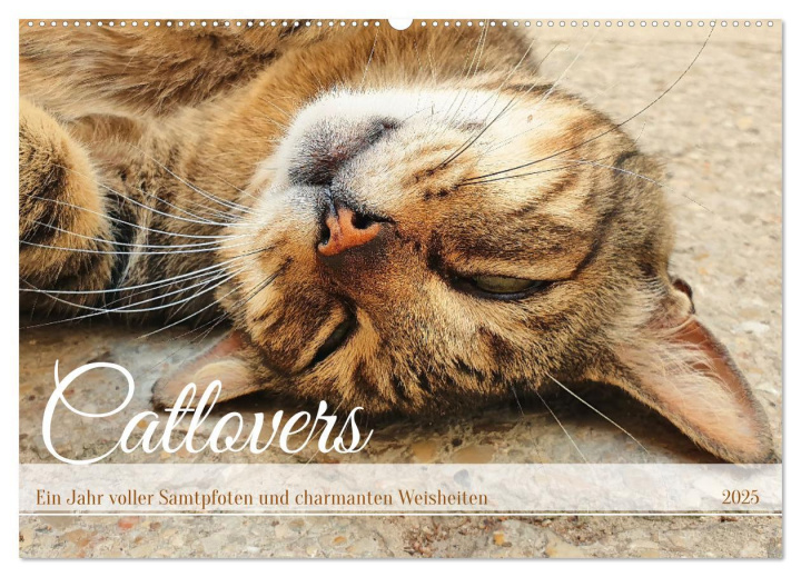 Calendar / Agendă Catlovers - Ein Jahr voller Samtpfoten und charmanten Weisheiten (Wandkalender 2025 DIN A2 quer), CALVENDO Monatskalender 