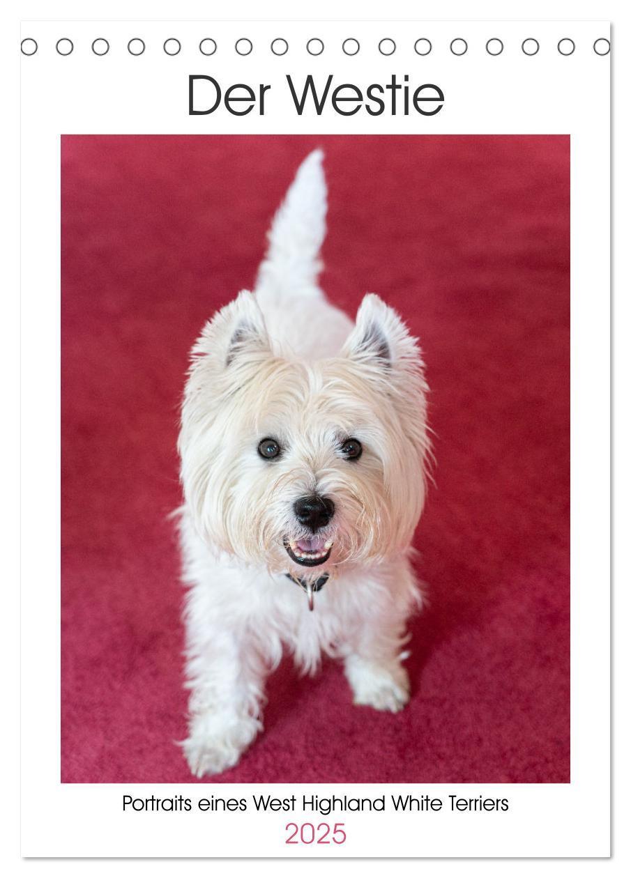 Kalendář/Diář Der Westie - Portrait eines West Highland White Terriers (Tischkalender 2025 DIN A5 hoch), CALVENDO Monatskalender 