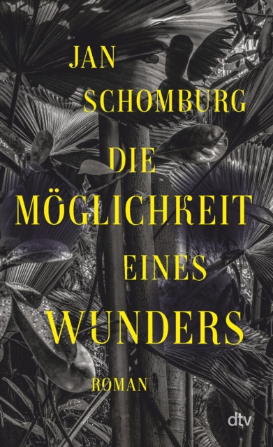E-knjiga Die Moglichkeit eines Wunders Jan Schomburg