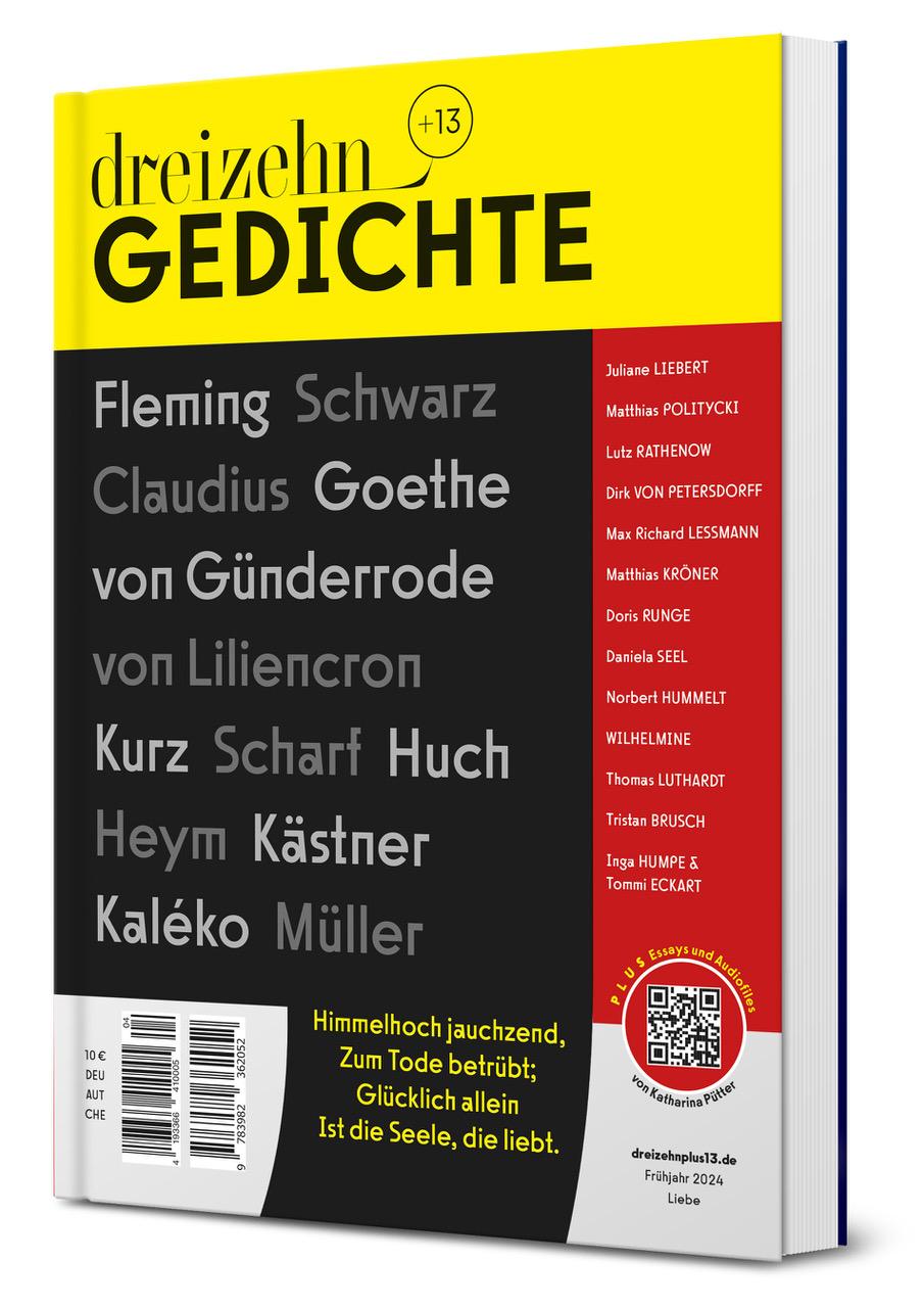 Boek dreizehn +13 Gedichte Katharina Pütter