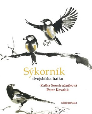 Книга Sýkorník Katka Soustružníková