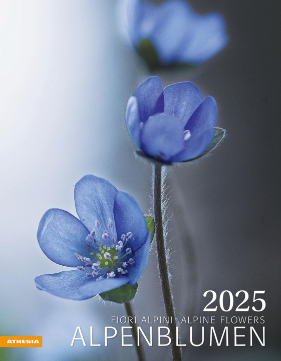 Naptár/Határidőnapló Alpenblumen Kalender 2025 