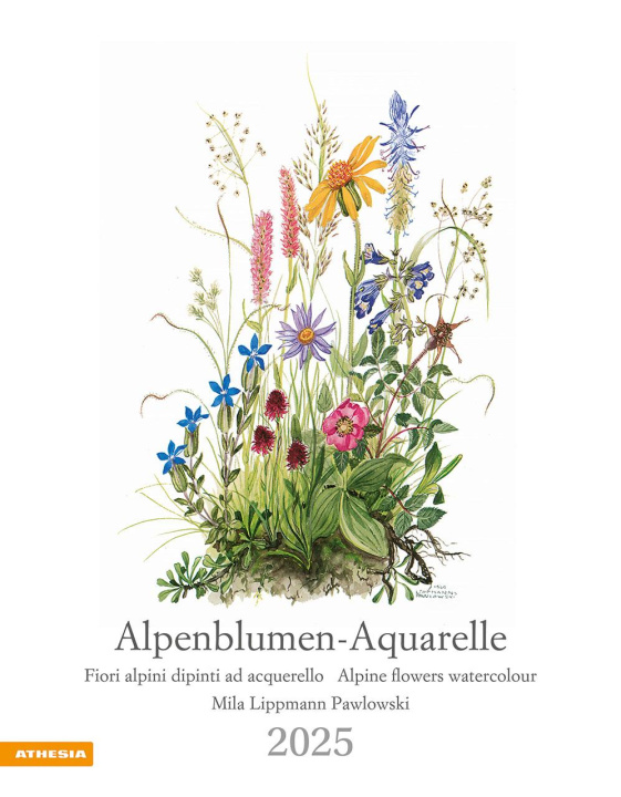 Calendar/Diary Alpenblumen-Aquarelle Kalender 2025 Mila Lippmann-Pawlowski