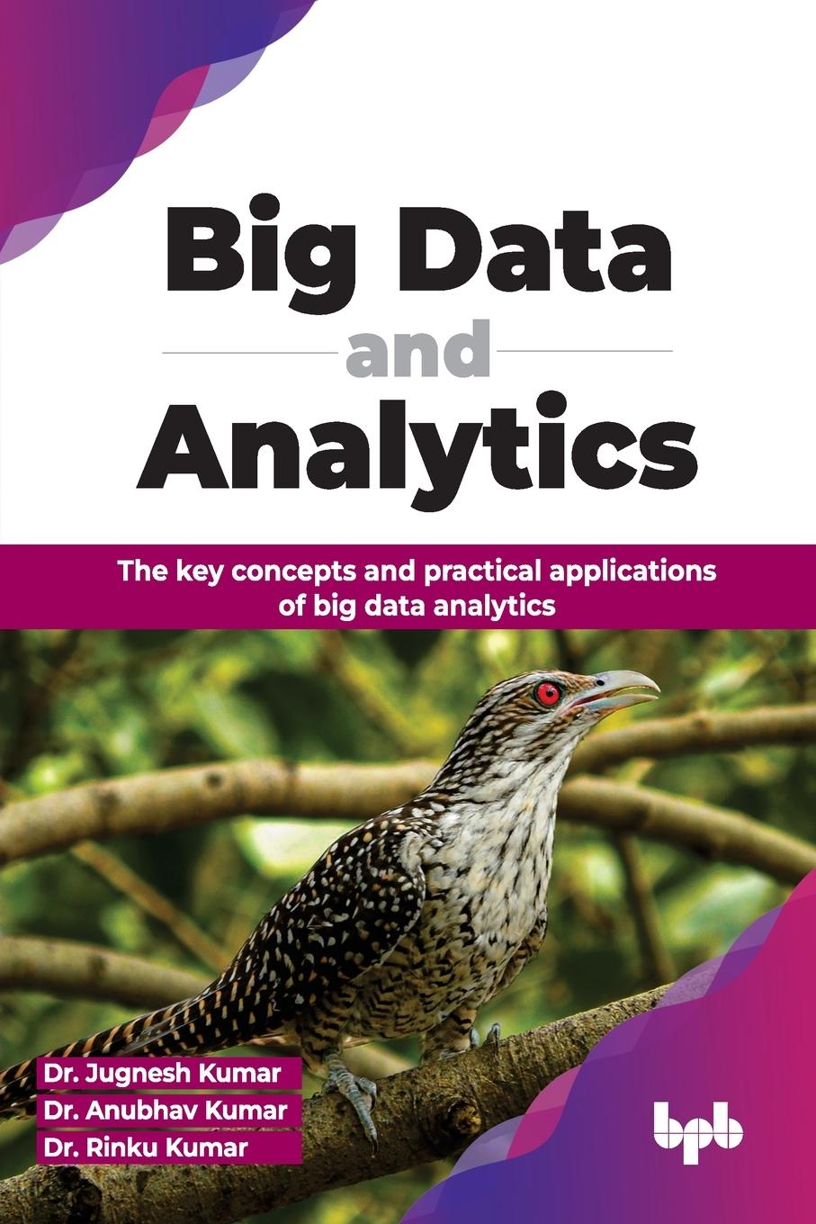 Knjiga Big Data and Analytics Anubhav Kumar