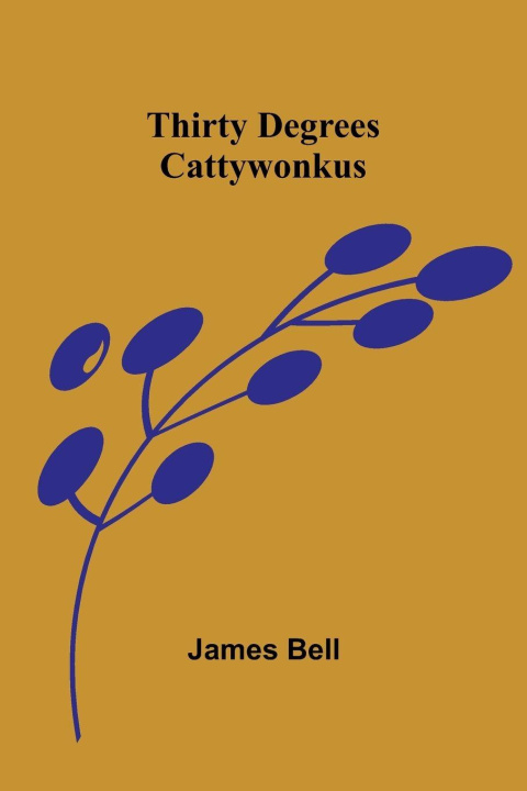 Book Thirty Degrees Cattywonkus James Bell