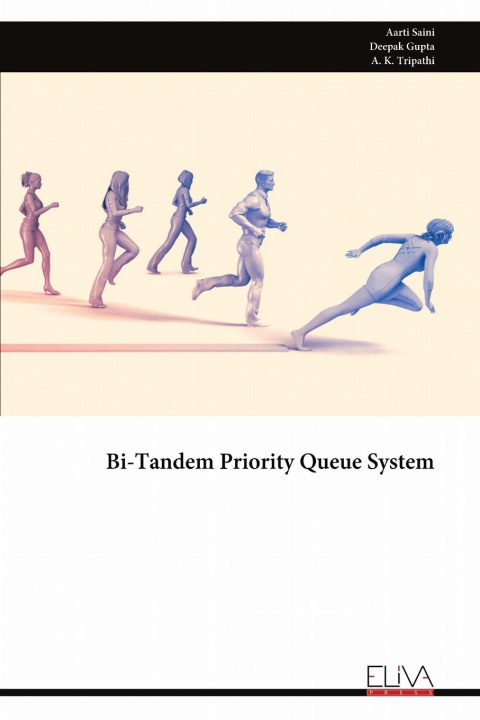 Knjiga Bi-Tandem Priority Queue System Deepak Gupta