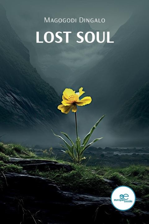 Knjiga Lost Soul Magogodi Dingalo