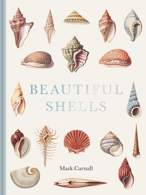 Kniha Beautiful Shells Mark Carnall