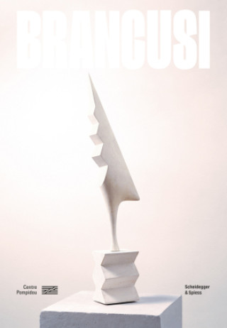 Knjiga Brancusi 