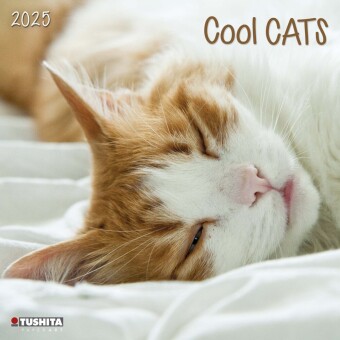 Naptár/Határidőnapló Cool Cats 2025 