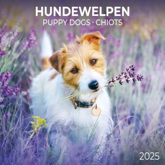 Calendar / Agendă Puppy Dogs/Hundewelpen 2025 