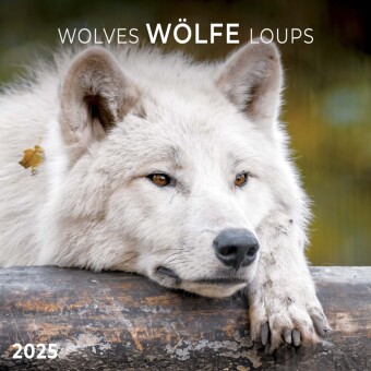 Kalendarz/Pamiętnik Wolves/Wölfe 2025 