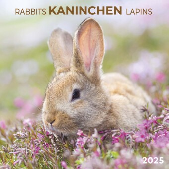 Naptár/Határidőnapló Rabbits/Kaninchen 2025 