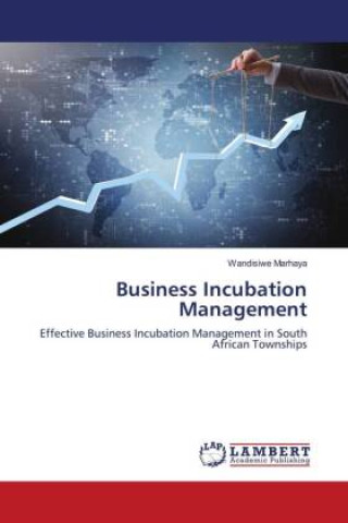 Kniha Business Incubation Management Wandisiwe Marhaya