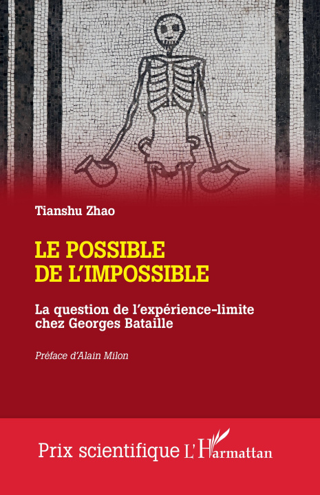 Boek Le possible de l'impossible Zhao