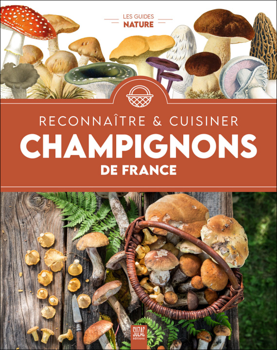 Kniha Champignons de France, reconnaître & cuisiner 