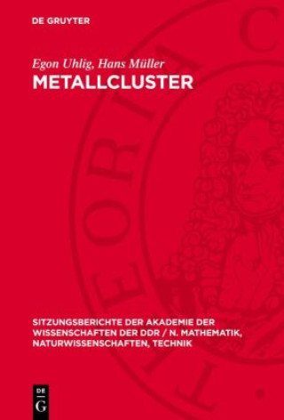 Βιβλίο Metallcluster Egon Uhlig