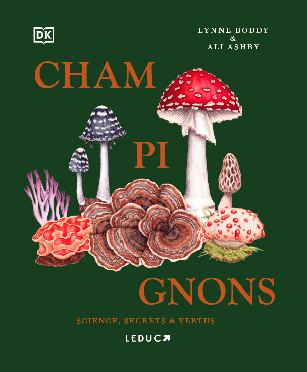 Knjiga Champignons Boddy