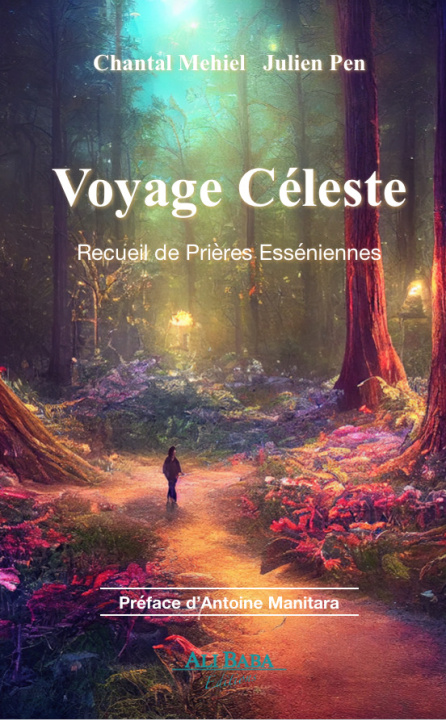 Книга Voyage céleste Mehiel