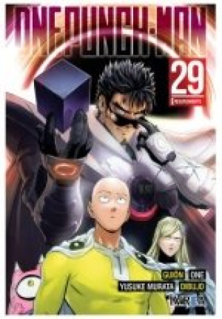 Kniha ONE PUNCH-MAN 29 ONE