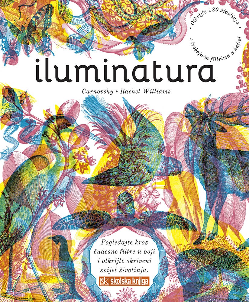 Книга Iluminatura Rachel Williams Carnovsky