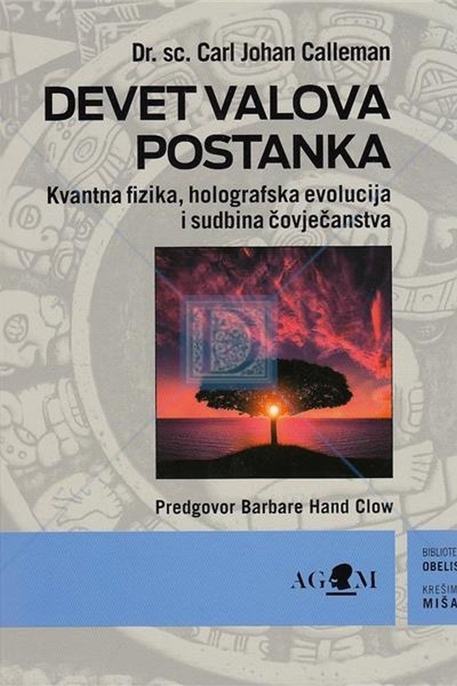 Kniha Devet valova postanka Carl Johan Calleman