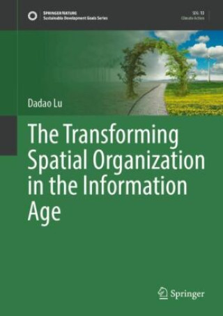 Knjiga The Transforming Spatial Organization in the Information Age Dadao Lu