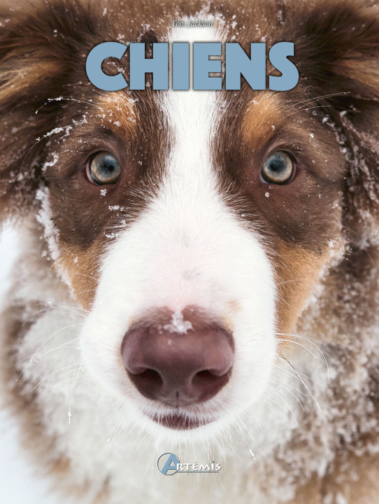 Book Chiens Jackson tom