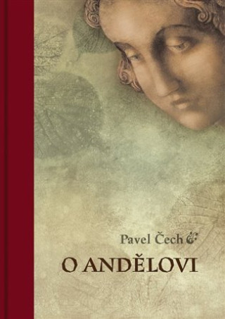Kniha O andělovi Pavel Čech