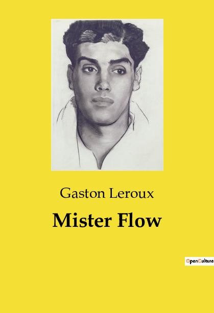 Knjiga MISTER FLOW LEROUX GASTON