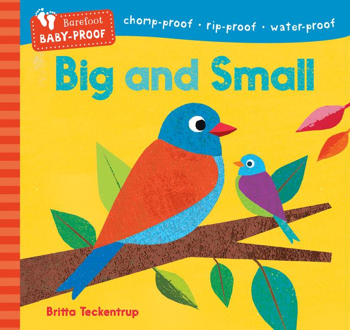 Knjiga BIG & SMALL BAREFOOT