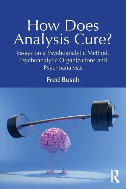 Buch How Does Analysis Cure? Busch