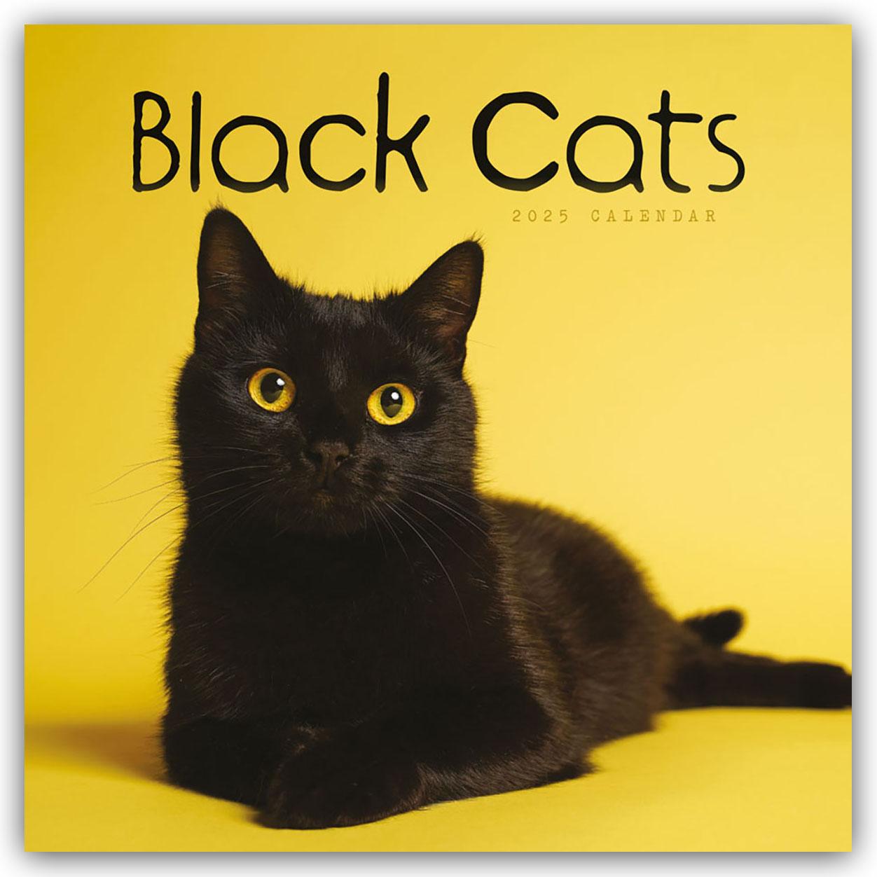 Carte Black Cats Square Wall Calendar 2025 