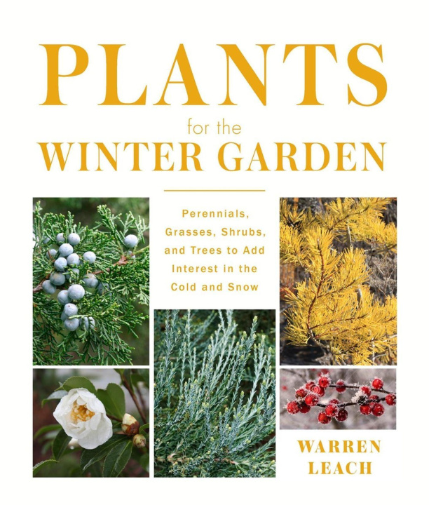 Kniha Plants for the Winter Garden 