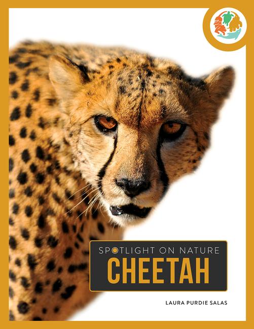 Book Cheetah Salas