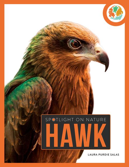 Knjiga Hawk Salas