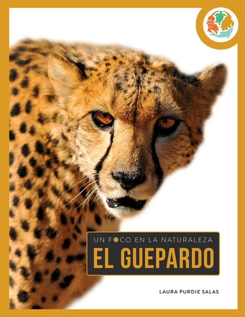 Book Guepardo Salas