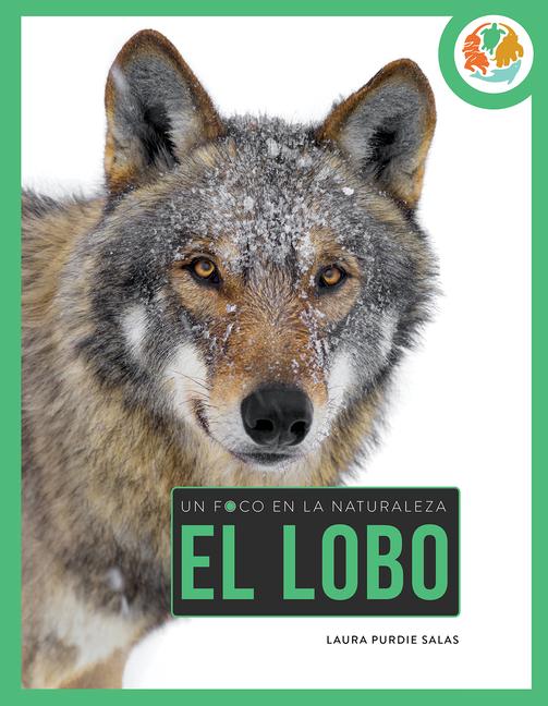 Βιβλίο Lobo Salas