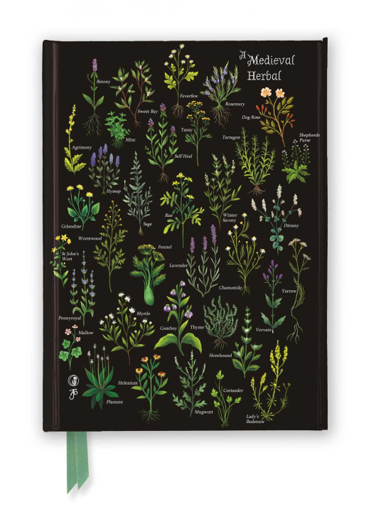 Βιβλίο Anna Stead: Medieval Herbal (Foiled Journal) 