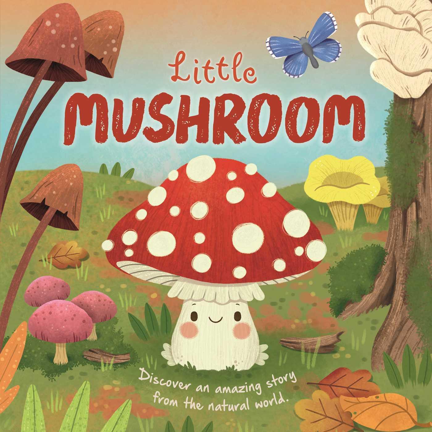 Kniha Nature Stories: Little Mushroom-Discover an Amazon Story from the Natural World Willow Green