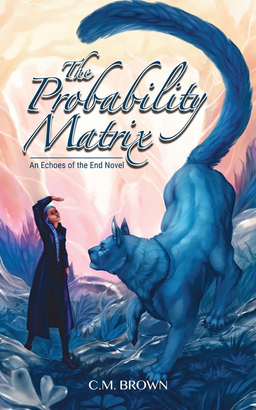 Knjiga The Probability Matrix Lily Ingersoll