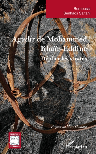 E-kniha Agadir de Mohammed Khair-Eddine Senhadji Saltani