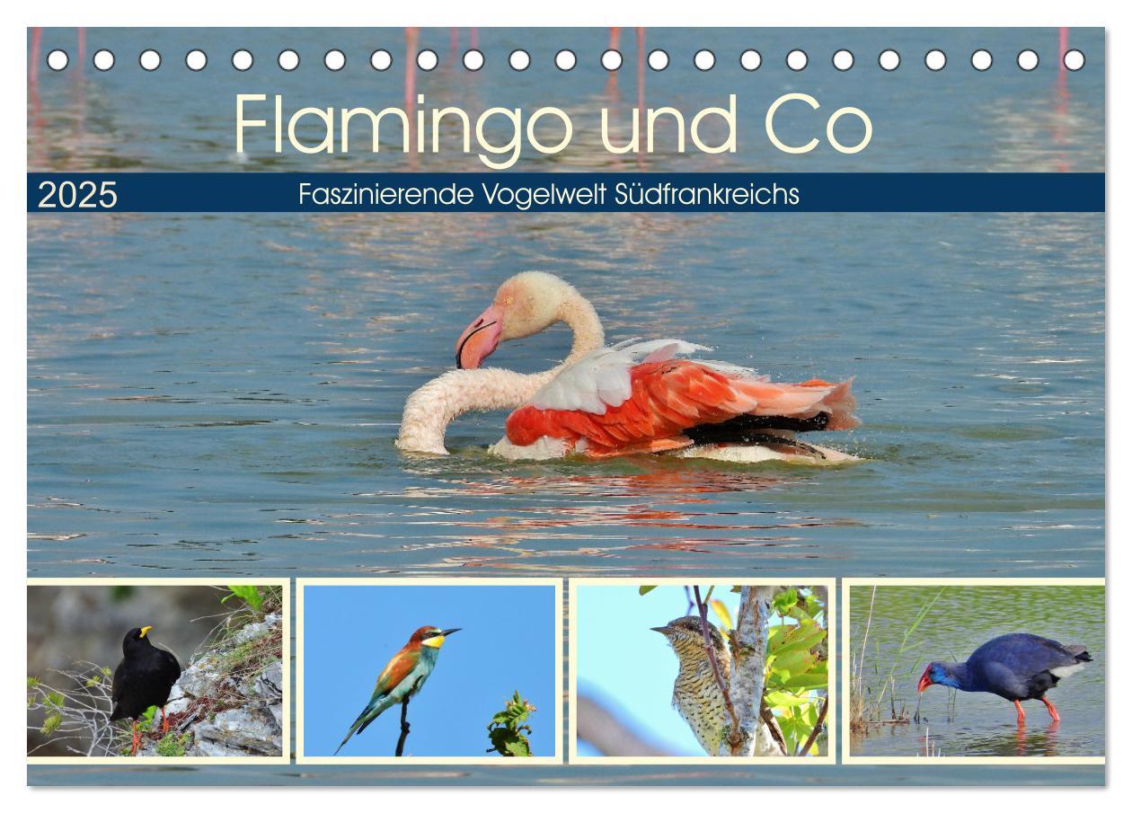 Kalendář/Diář Flamingo und Co - Faszinierende Vogelwelt Südfrankreichs (Tischkalender 2025 DIN A5 quer), CALVENDO Monatskalender 