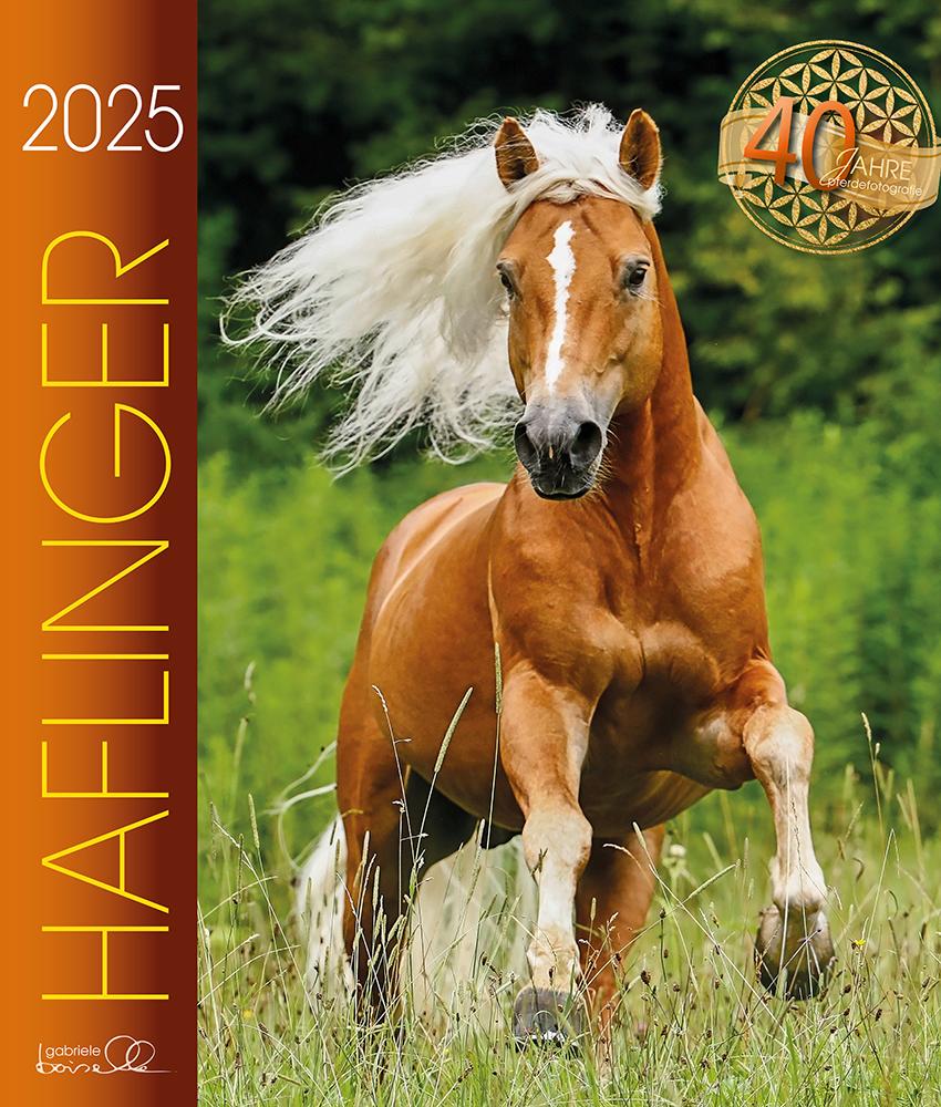 Naptár/Határidőnapló Haflinger 2025 