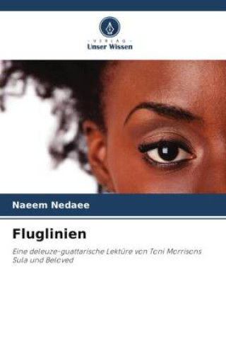 Knjiga Fluglinien Naeem Nedaee